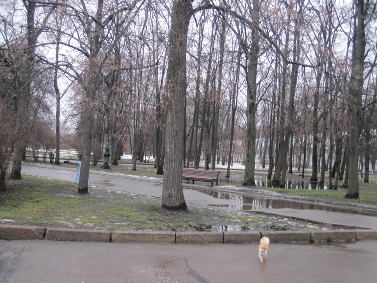 Лужники. Большая вода.
