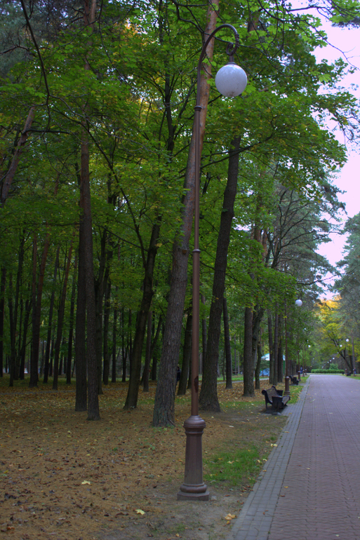 Минск. Осень 2013 г