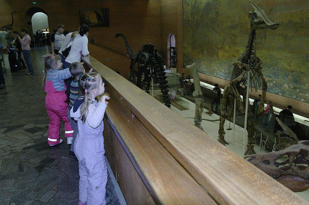 Палеонтологический музей Рита и ее двоюродная сестра Аня и четвероюродный брат Дима так же крестные которые ее возили и ее тетя троюродная Алена