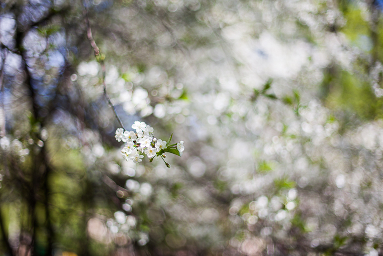 Понеслоооооось!... :)
