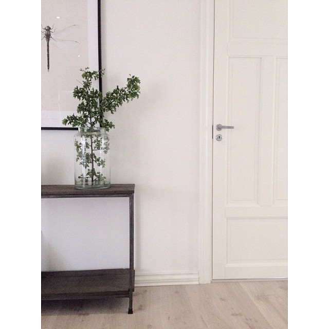 Сканди (@sivasverden)