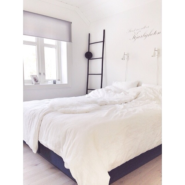 Сканди (@sivasverden)