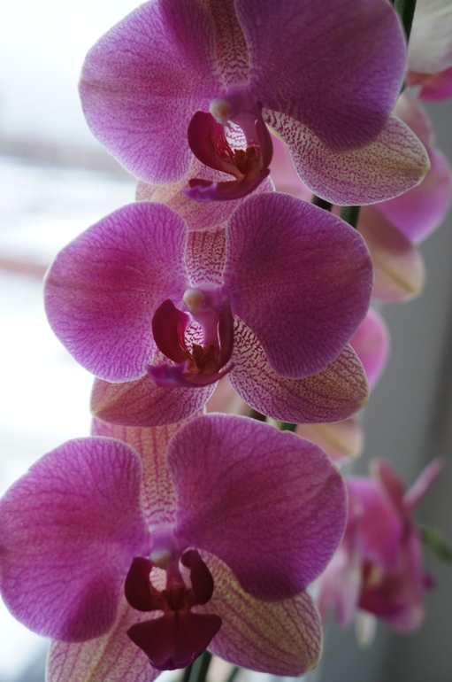 Аватар сообщества!