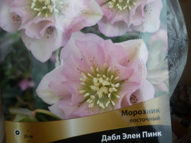 Новички и старички.
