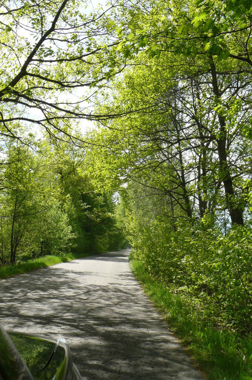 Галопом по Европе. Чтобы не забыть