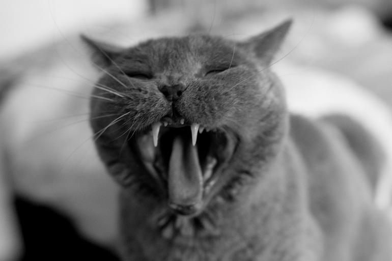 Как я не хотел фотографироваться