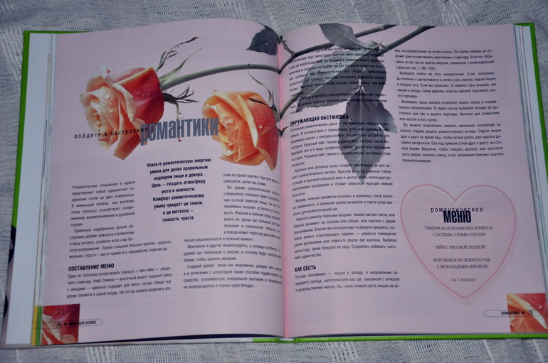 книга Фэн Шуй Основы гармоничного питания