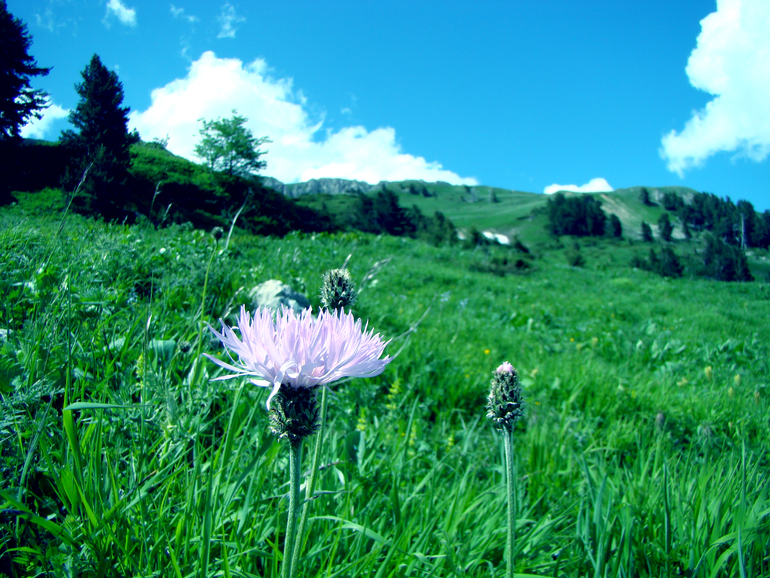 Контрольное задание № 6. Три способа цветокоррекций фотографий