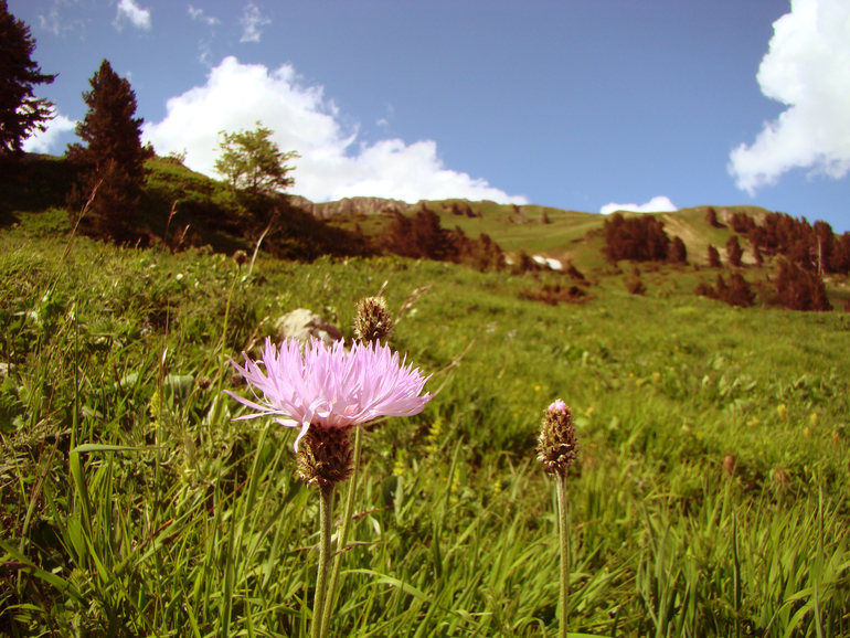 Контрольное задание № 6. Три способа цветокоррекций фотографий