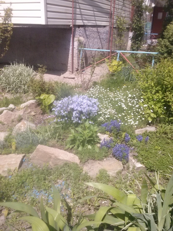 Скоро лето)))