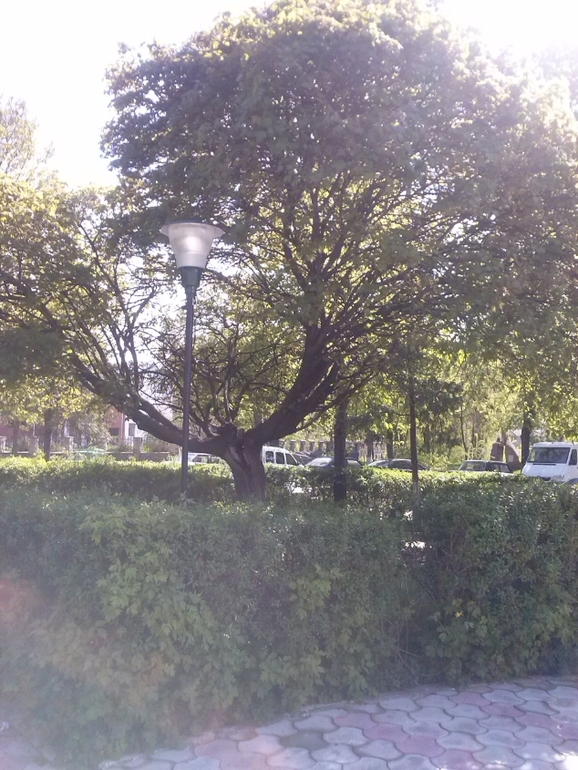 Делюсь теплом весенним:)