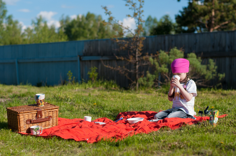пикник на даче