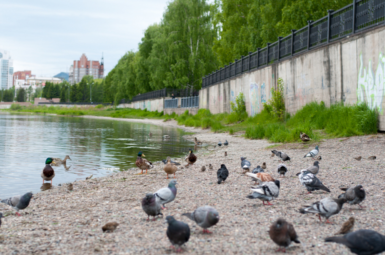 Прогулка 07.06.2014 (много фоток)