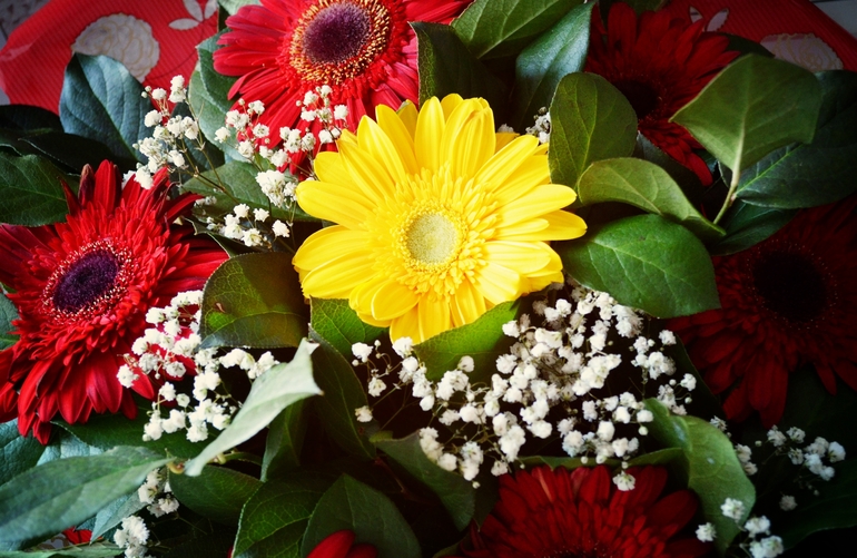 22 недельки 1 день, наши 5 месяцев