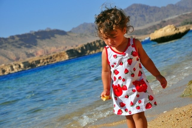 Шарм декабрь 2013 ( фотоотчет)