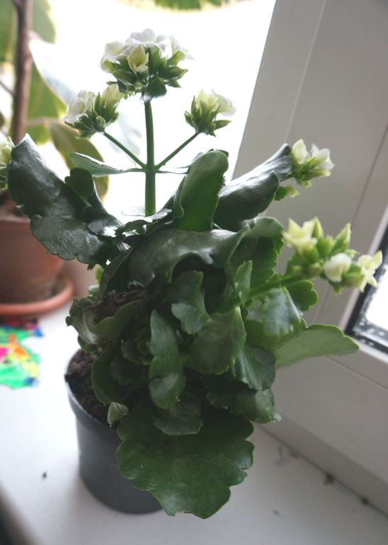 Зарисовки из жизни