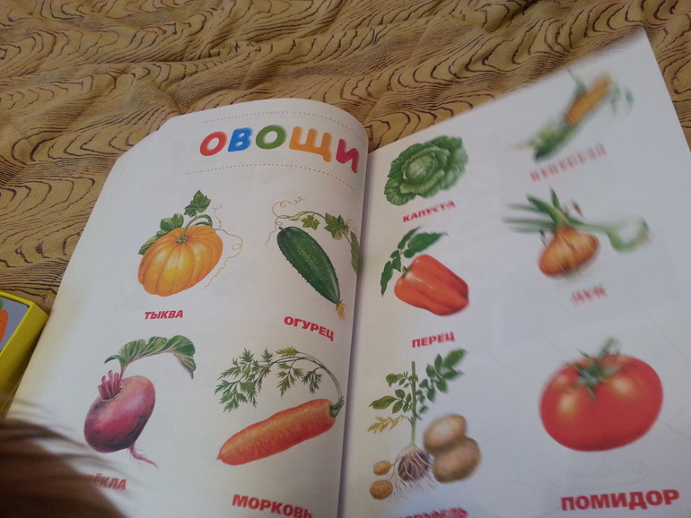 ФМ "Овощи для малышей"-день 1 огородный