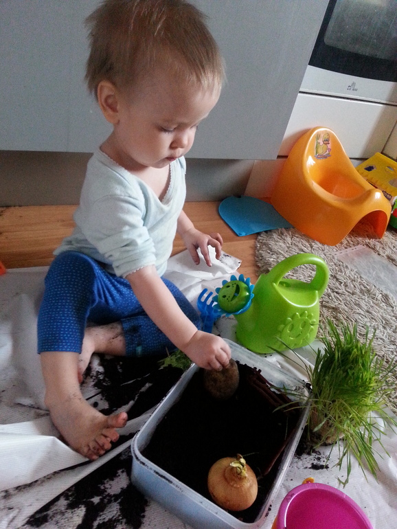 ФМ "Овощи для малышей"-день 1 огородный