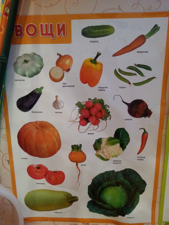 ФМ "Овощи для малышей"-день 1 огородный