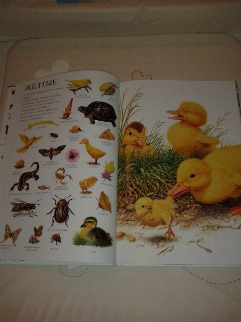 Наши книги, может кому пригодится