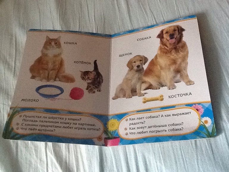 Наша библиотека (часть1)