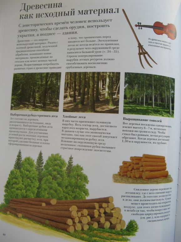 Большая книга о лесах и деревьях