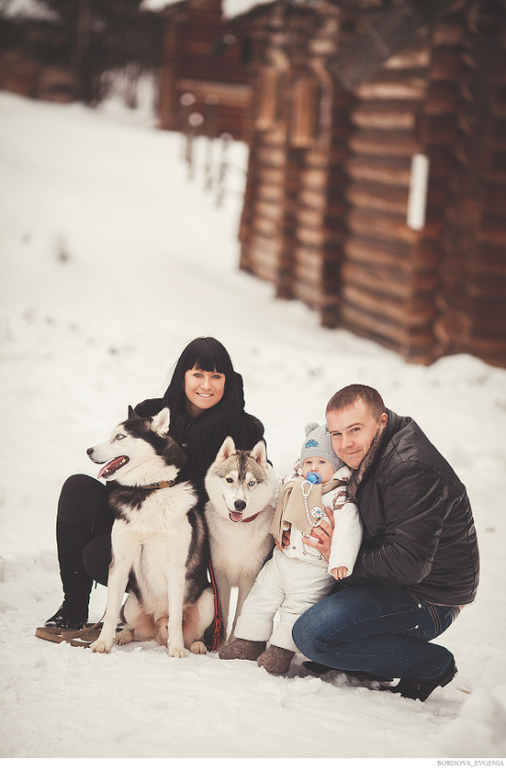 Зимняя прогулка с хасками:)))