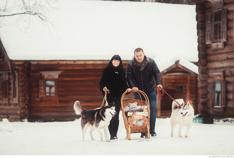 Зимняя прогулка с хасками:)))