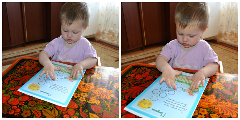 ТЗ Курица, петух, цыпленок