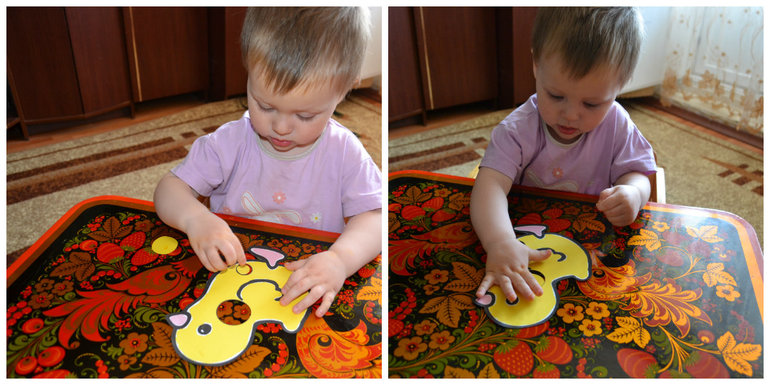 ТЗ Курица, петух, цыпленок