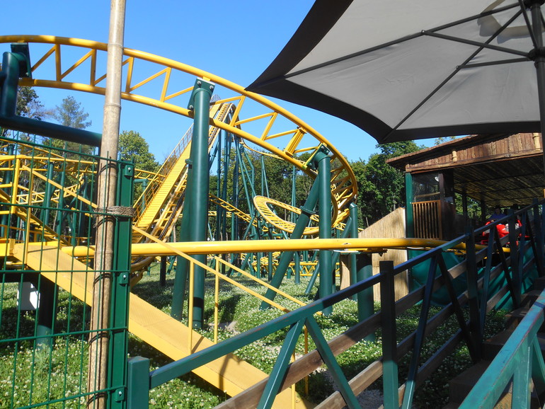 Наша прогулка в парке