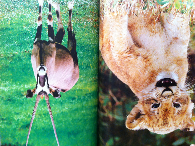 потрясающая красота!!!