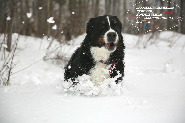 ДЕВОЧКИ!!!!!! Повеселю вас!!!!!!!!