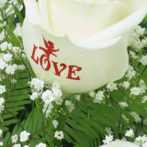 Варианты валентинок ко Дню всех влюбленных