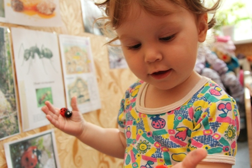 Отчет по ТН