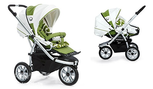 Наша прогулочная коляска!