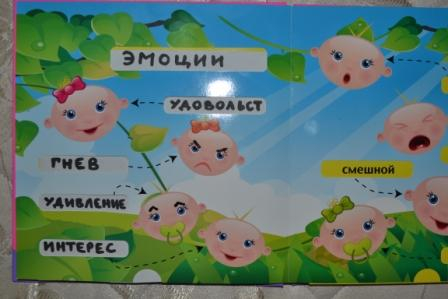 ТН "Эмоции". д.2. Гнев- Удовольствие.