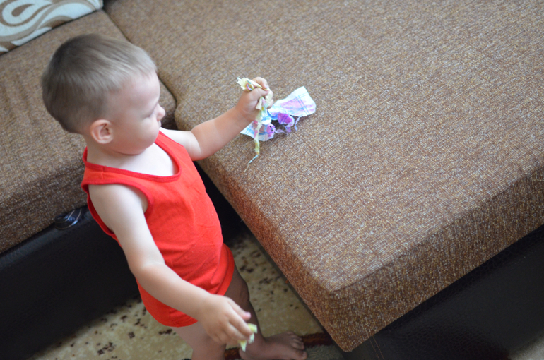 день 1 ТН "Насекомые"  -  бабочка