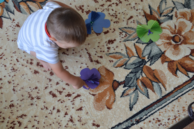 день 1 ТН "Насекомые"  -  бабочка