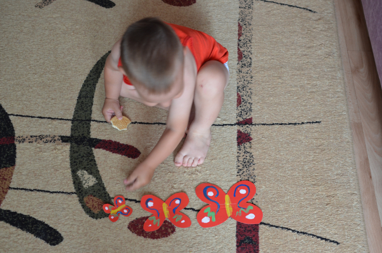 день 1 ТН "Насекомые"  -  бабочка