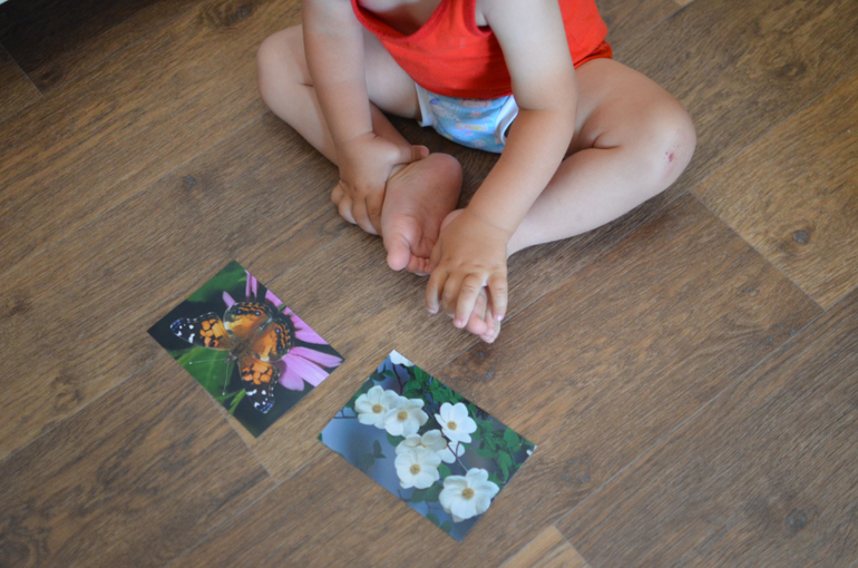 день 1 ТН "Насекомые"  -  бабочка