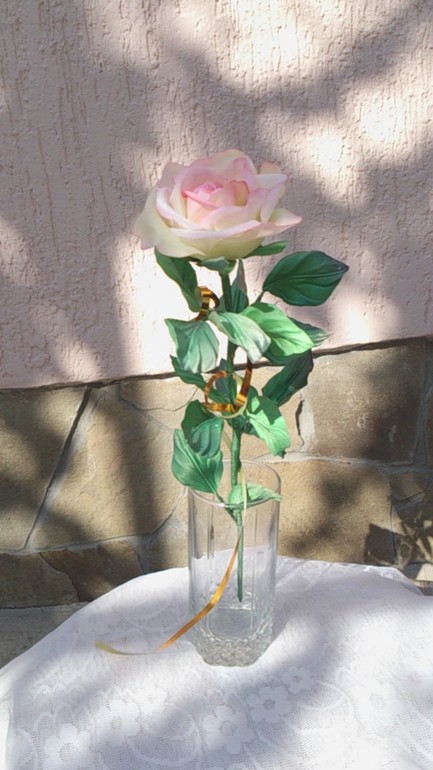 Крымская роза