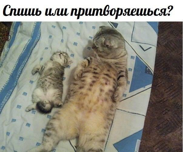 Знакомо? ;)