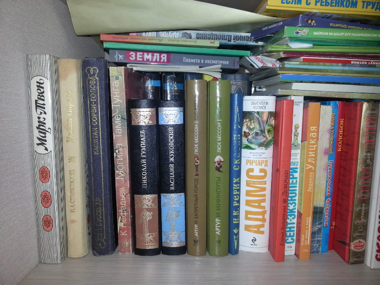 Мои книжные полочки