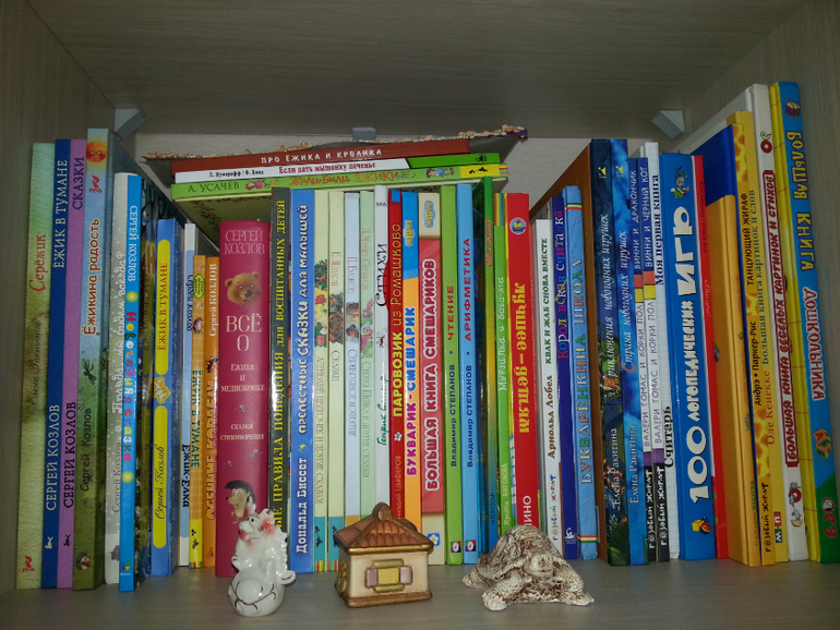 Мои книжные полочки