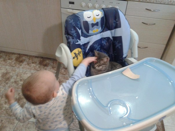 С возвращением нас!