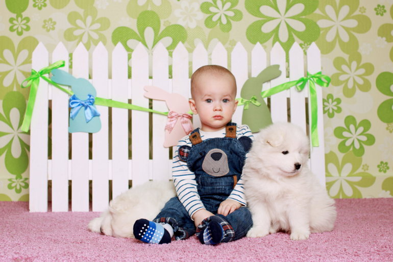 Долгожданные фото с щенками