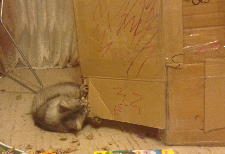 Коробкодомик:)