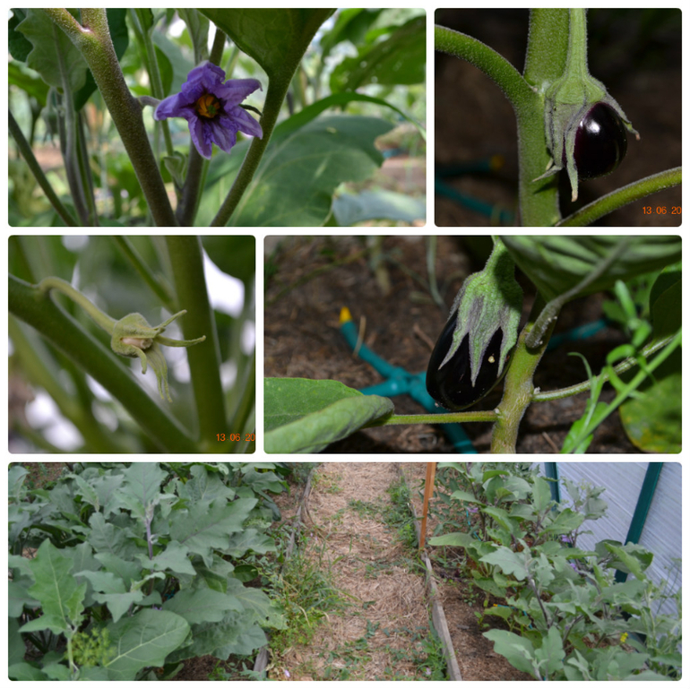 Хвалюшечки