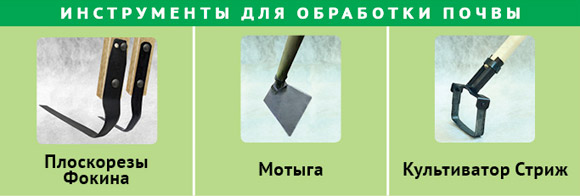 садово-огородный марафон день 1